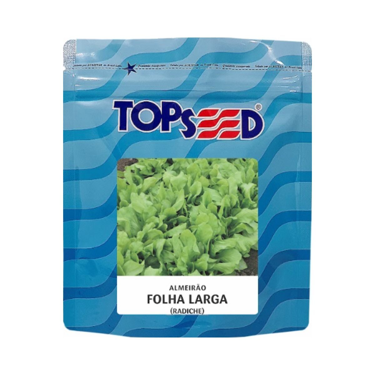 Sementes Almeirão Folha Larga Radiche 100g