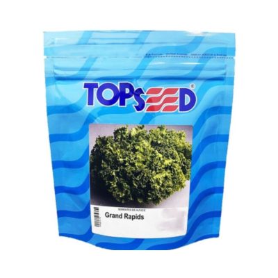 Sementes Alface Grand Rapids 100g