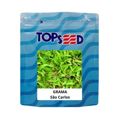 Sementes Grama São Carlos 100g