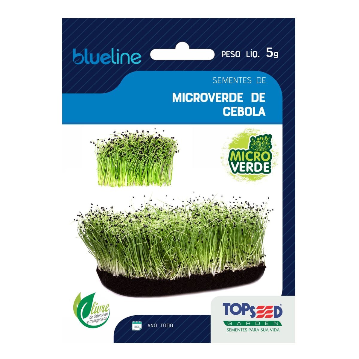 Sementes de Microverdes Cebola 5g