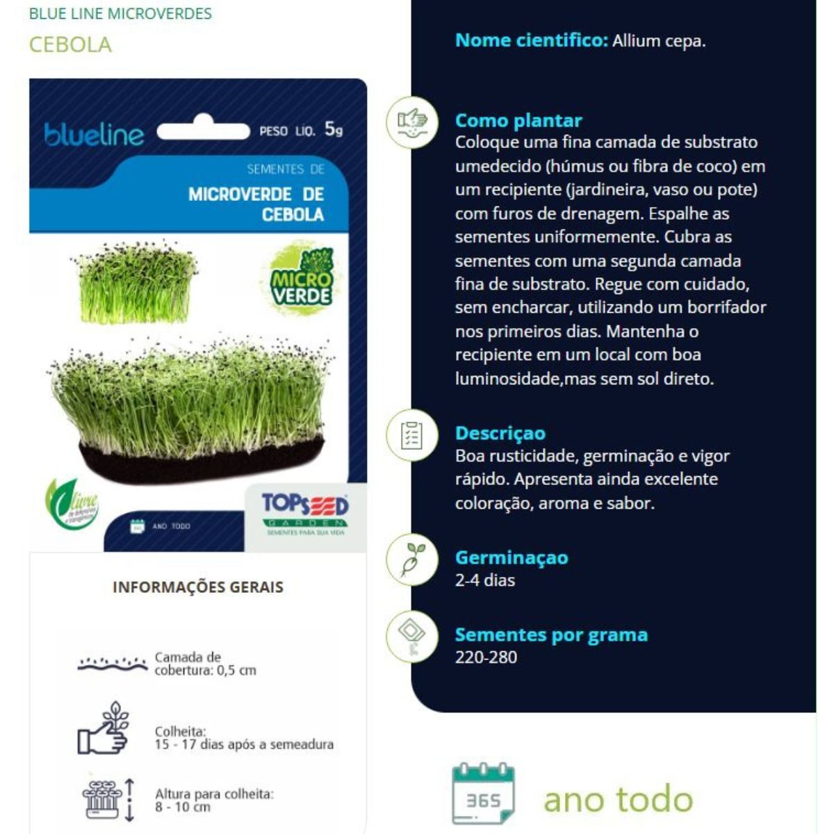 Sementes de Microverdes Cebola 5g - Imagem 2