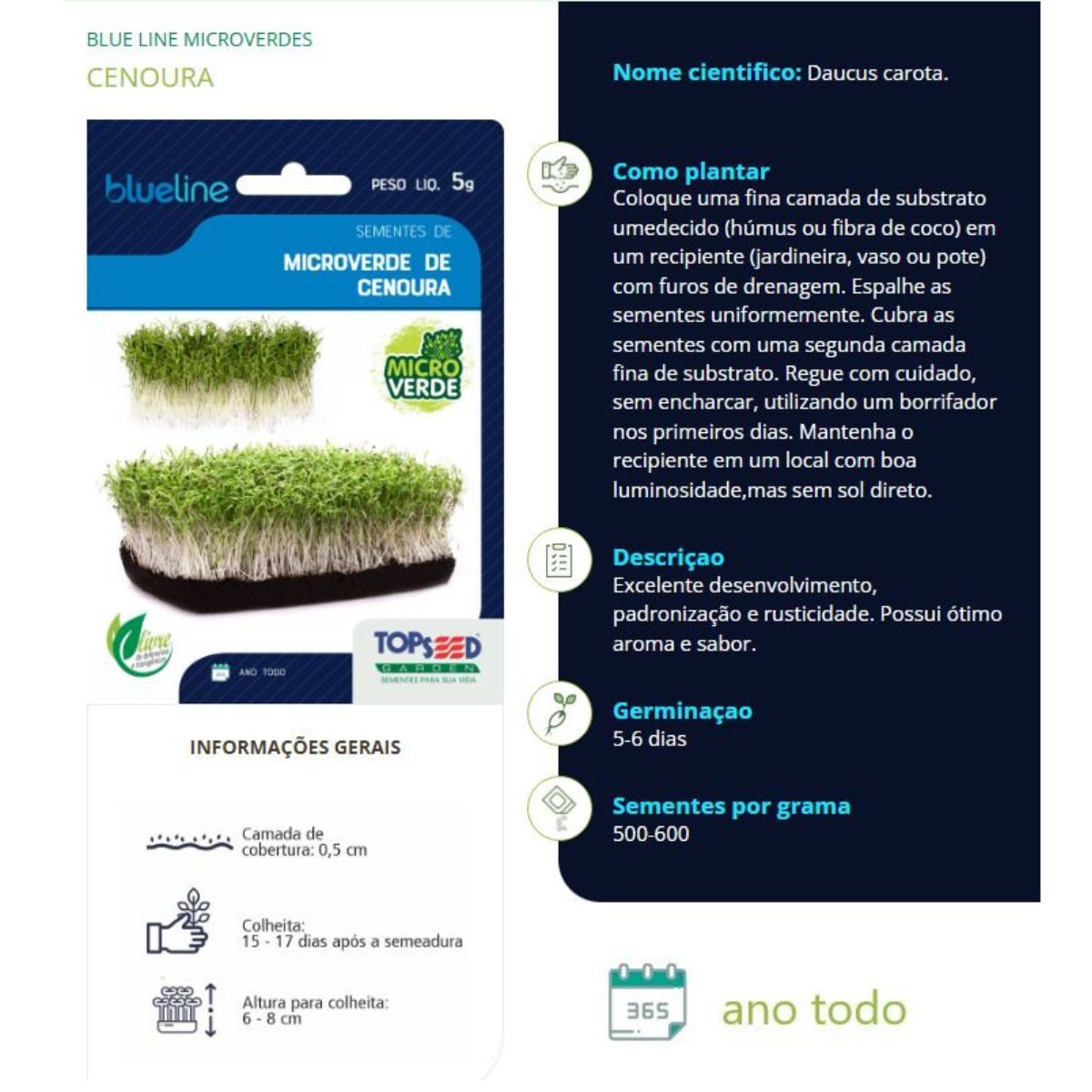 Sementes de Microverdes Cenoura 5g - Imagem 2