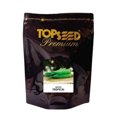 Sementes de Quiabo Tropical  (TPC-31640) 10mx