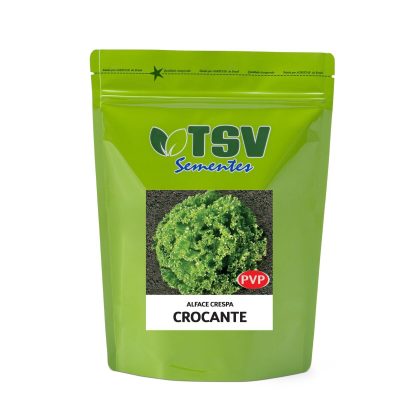 Alface Te 112 Crocante  Peletizada 10mx