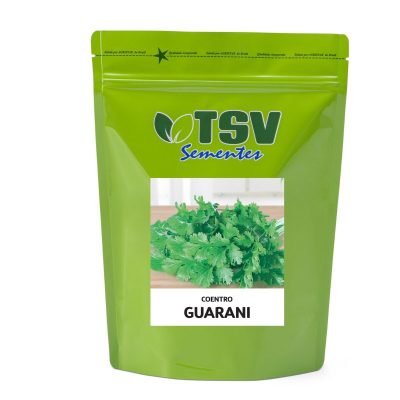 Coentro Guarani 500g